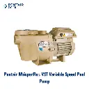 PENTAIR WhisperFlo® VST Variable Speed Pool Pump.webp