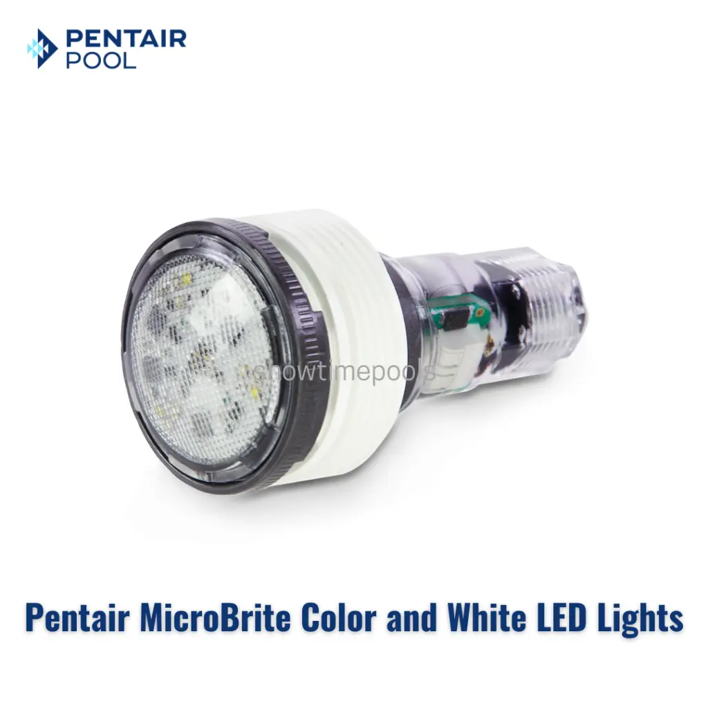 Animated Social Media in Neon Green Black Bold Style (1).webp